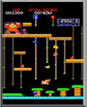 Donkey Kong Junior